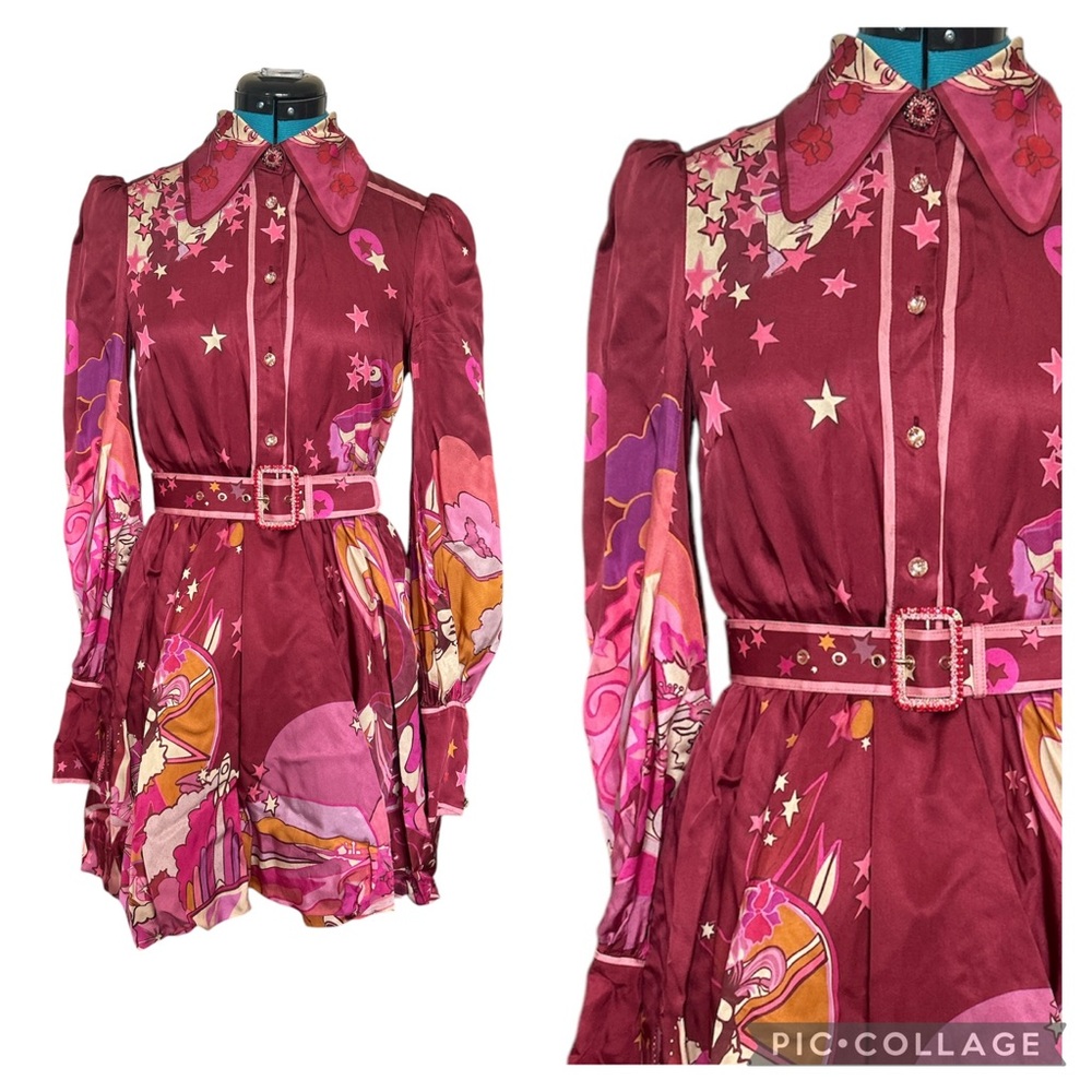 Zimmermann Bubble Concert Burgundy and Pink Star Print Dress Size 0